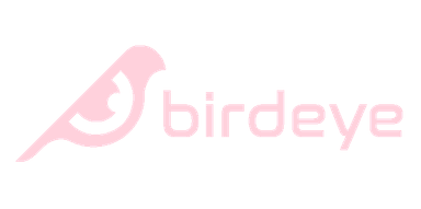 birdeye